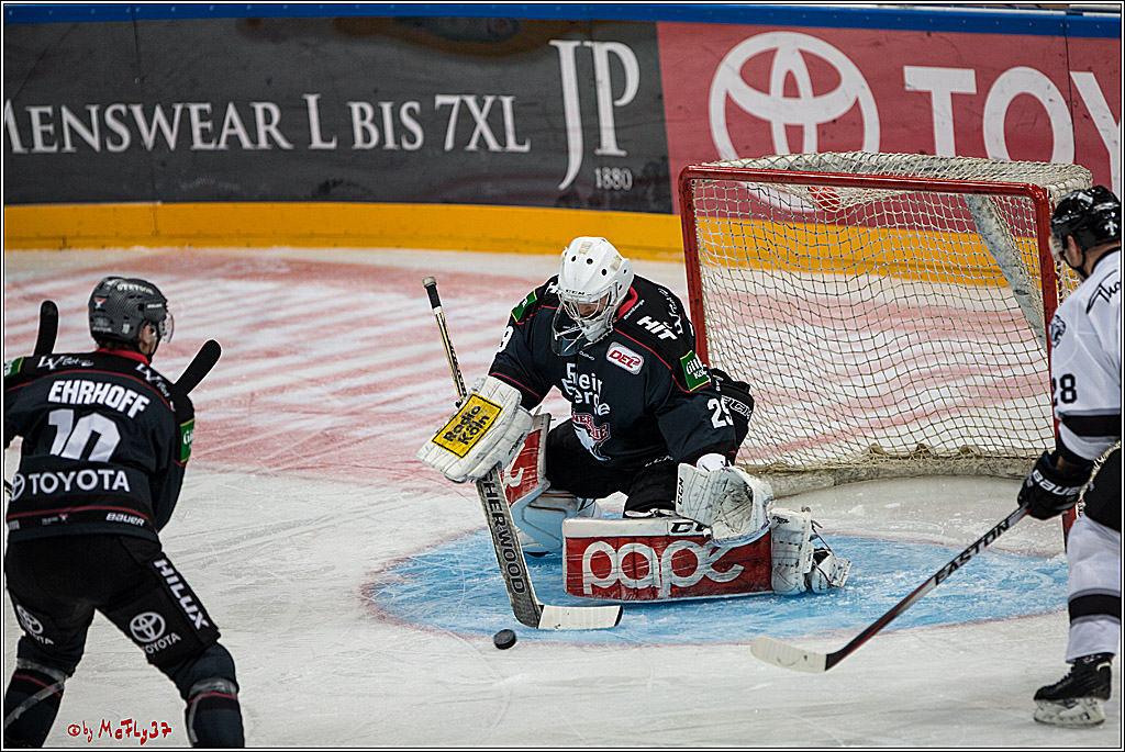 DEL, Koelner Haie - Nuernberg Ice Tiger, 24.01.2017
